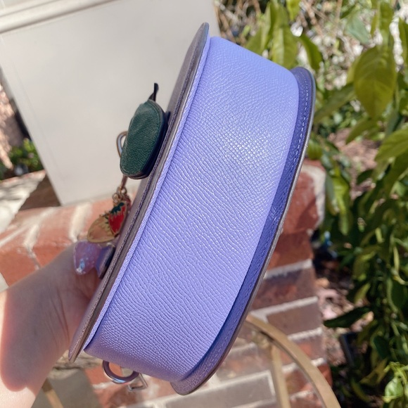 NWT Coach Blueberry Crossbody with Handmade Strawberry Cluster Bag Charm CR253 - Picture 5 of 9